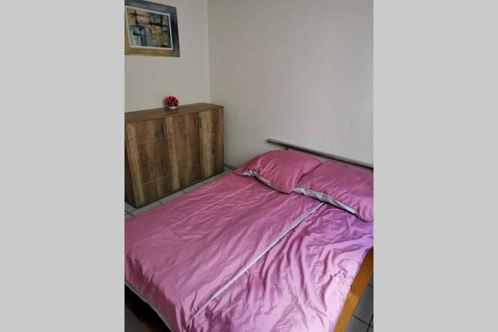 Ferienwohnung In Singen Am Hohentwiel - Seenah Eksteriør billede