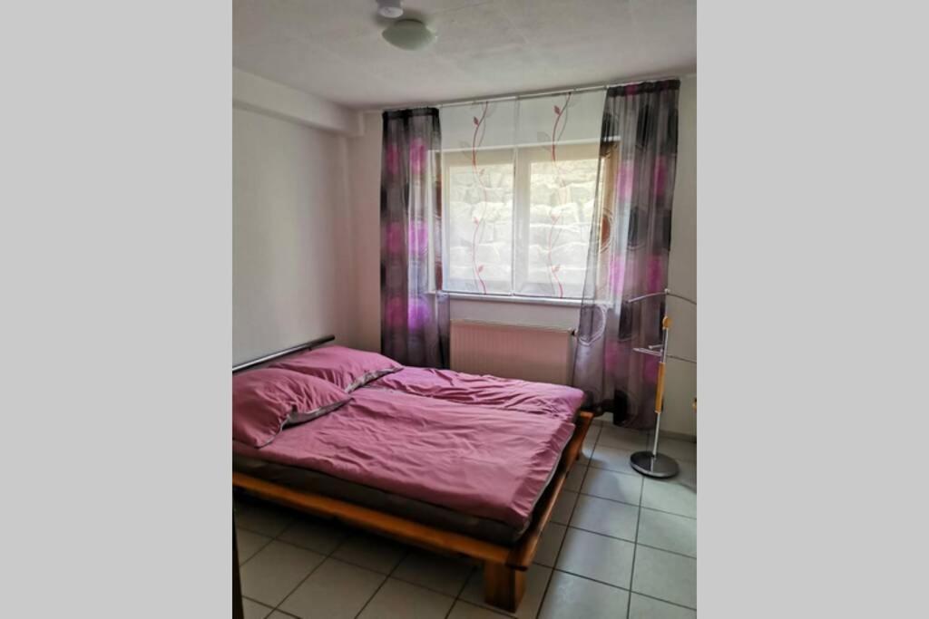 Ferienwohnung In Singen Am Hohentwiel - Seenah Eksteriør billede